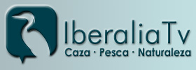 Iberalia TV