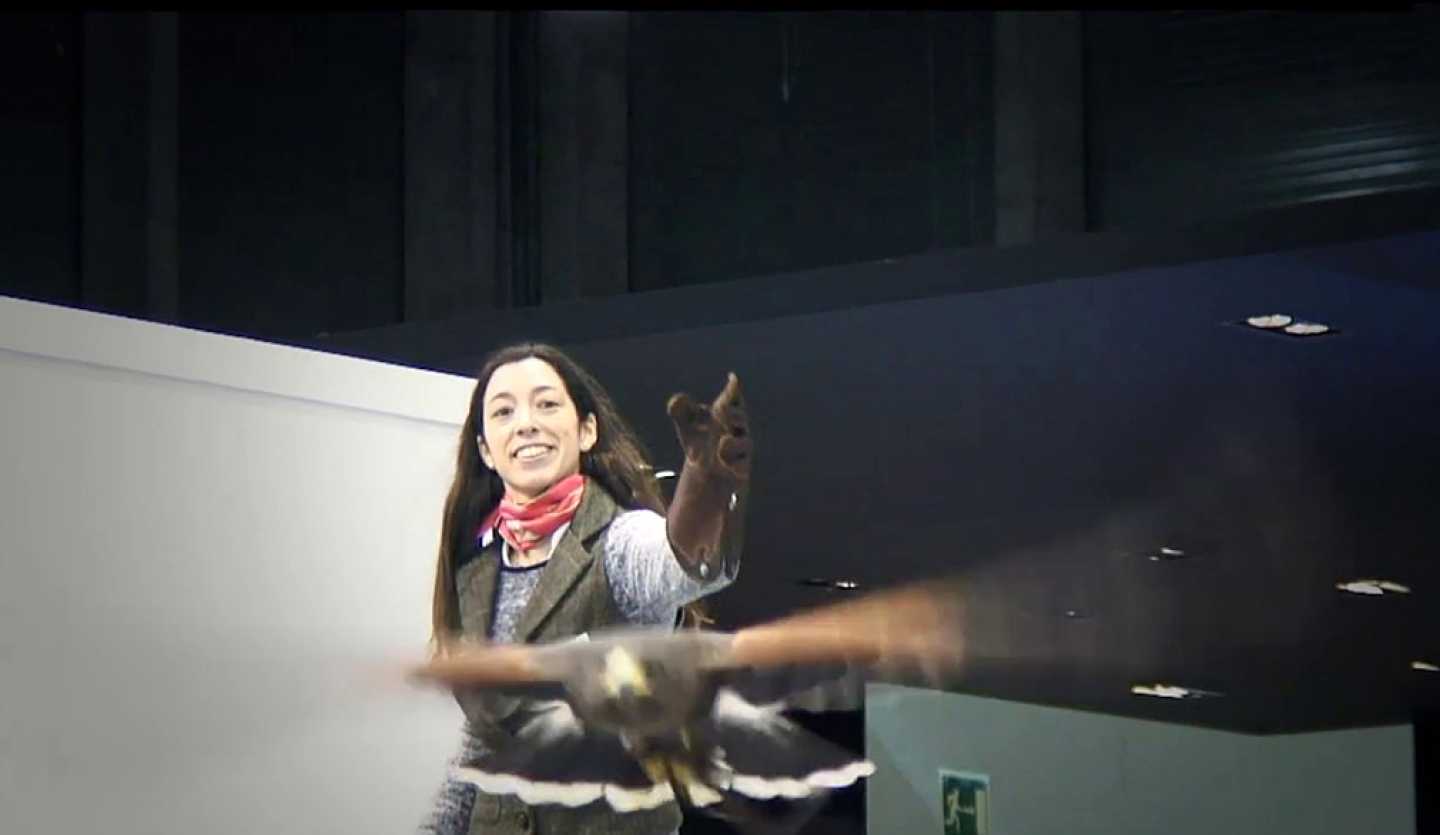 RPAS, drones multirrotores eaglecam gruponao