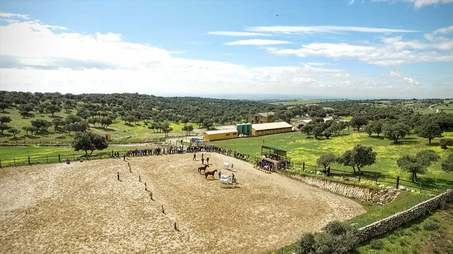 RPAS, drones multirrotores eaglecam gruponao