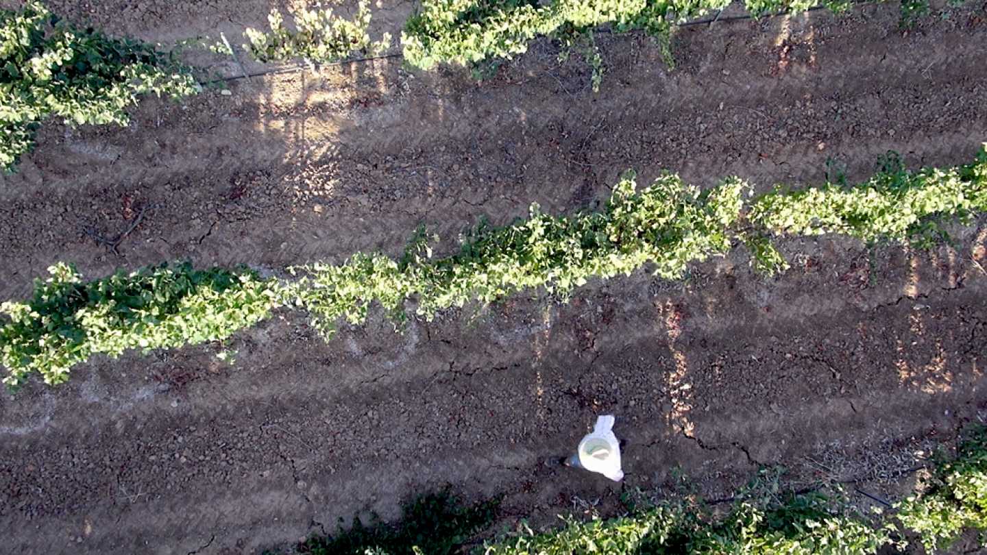 RPAS, drones multirrotores eaglecam gruponao