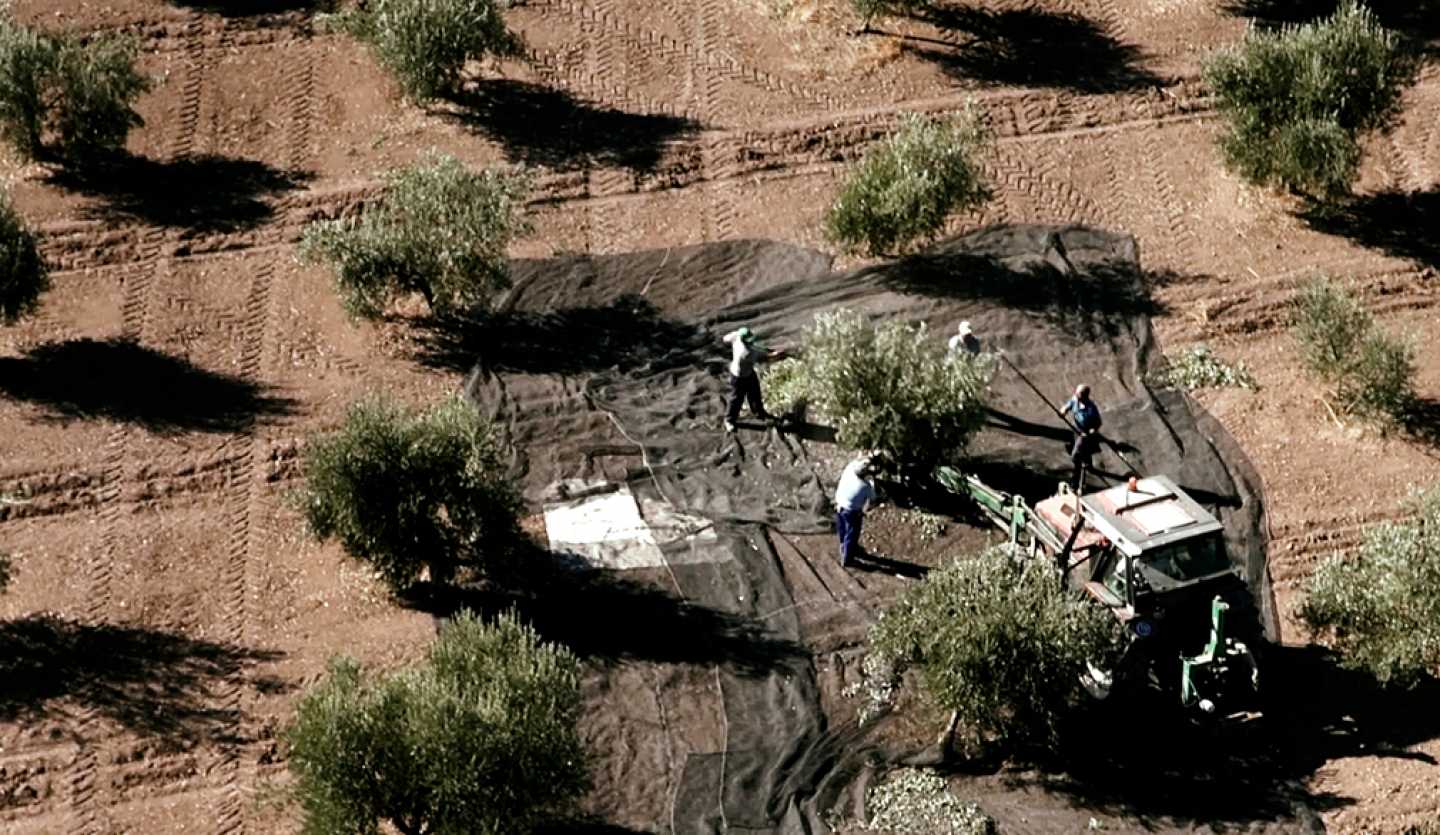 RPAS, drones multirrotores eaglecam gruponao