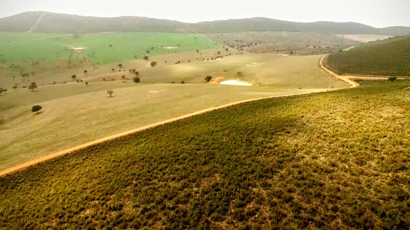 RPAS, drones multirrotores eaglecam gruponao