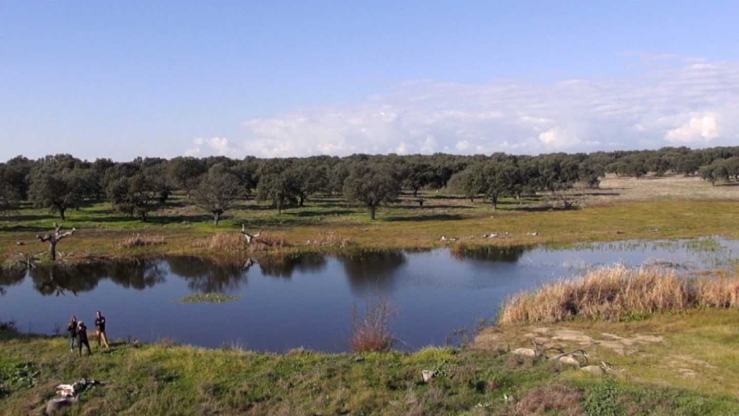 RPAS, drones multirrotores eaglecam gruponao