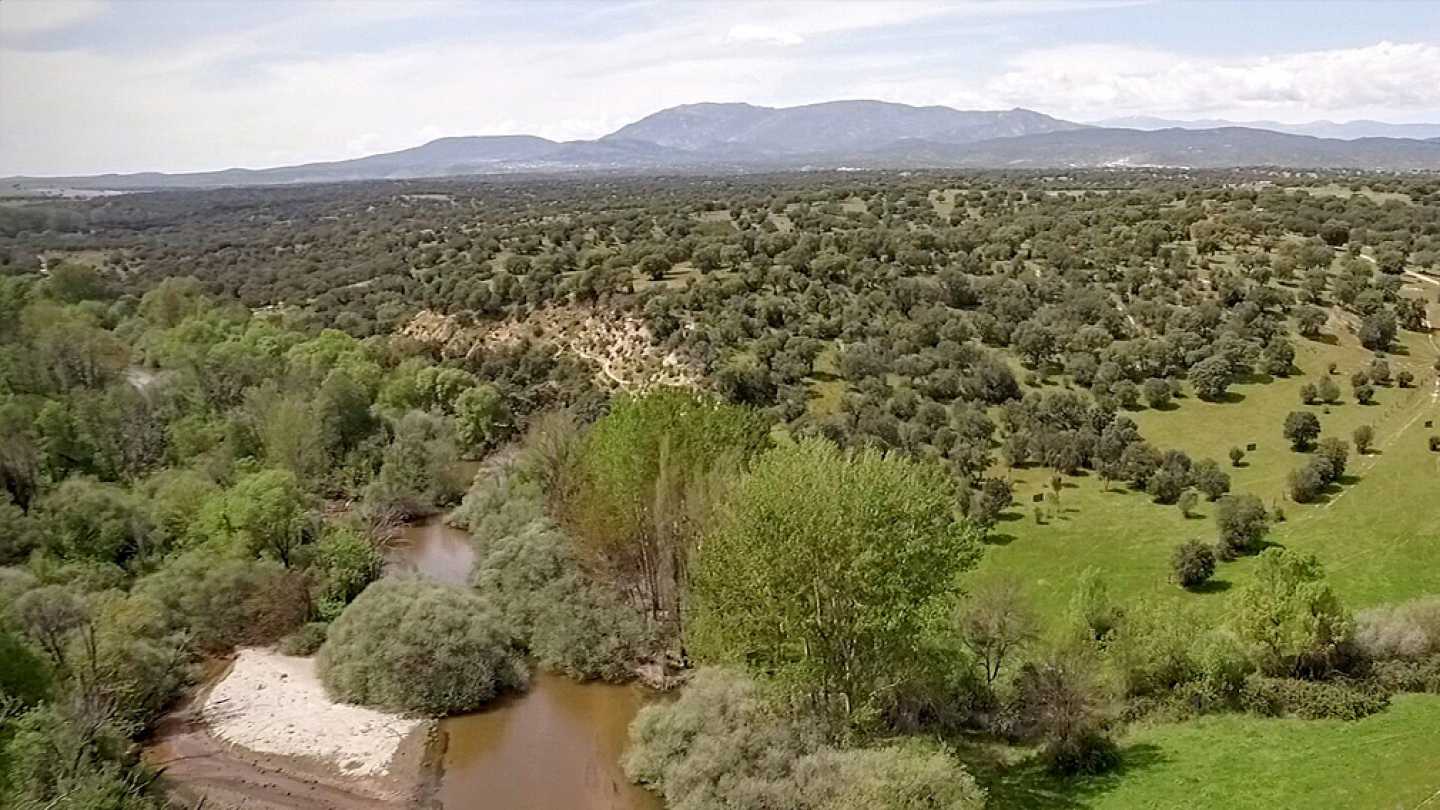 RPAS, drones multirrotores eaglecam gruponao