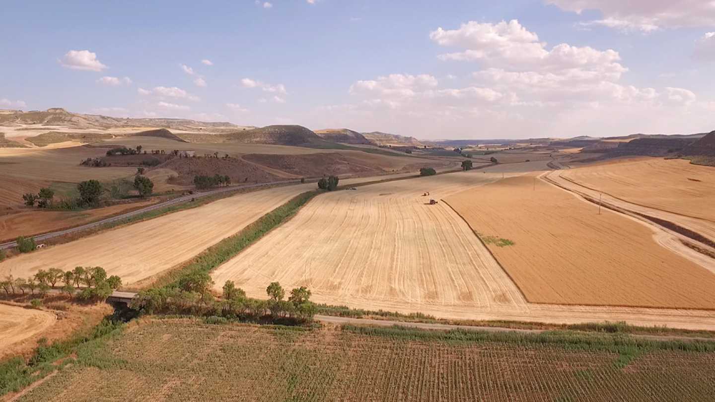 RPAS, drones multirrotores eaglecam gruponao
