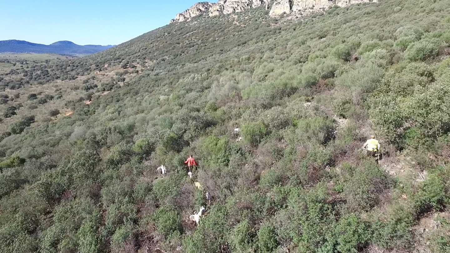 RPAS, drones multirrotores eaglecam gruponao