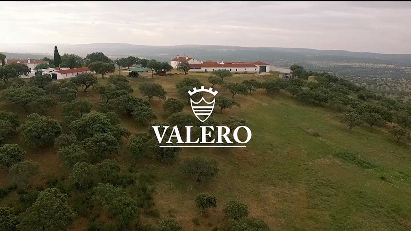 Superdeportivos Cantabria “Ciudad de Santander” Spot Oficial 2017, 90s